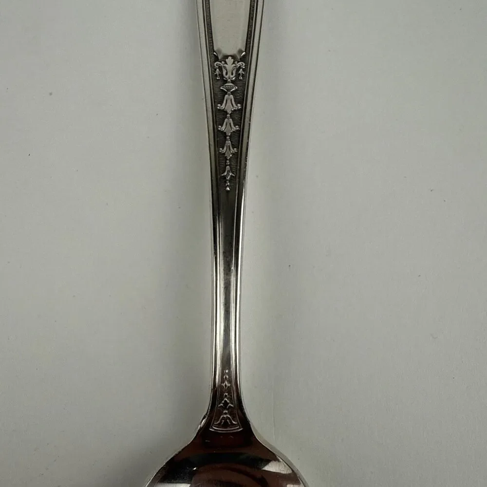 50-piece Set Tudor Plate Oneida Community Enchantment Bounty Silverware In Chest